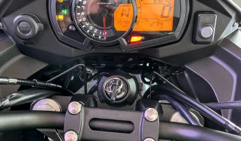 KAWASAKI VERSYS-X 300 TOURER 2024 cheio