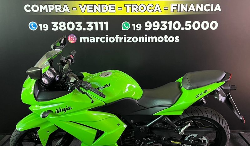 KAWASAKI NINJA 250R 2011 cheio