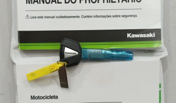 KAWASAKI ZX-10R 1000 2017 cheio