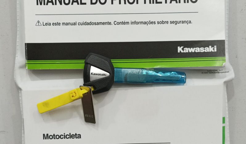 KAWASAKI ZX-10R 1000 2017 cheio