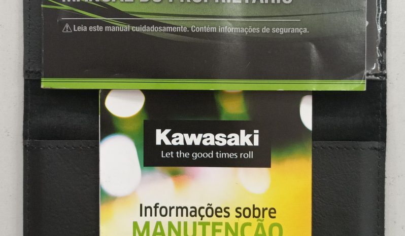 KAWASAKI NINJA ZX-6R 636 KRT 2022 cheio
