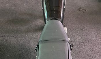 SUZUKI INTRUDER 125 2007 cheio