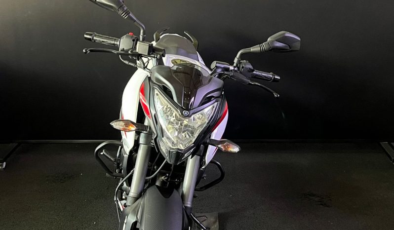 BAJAJ DOMINAR 160 ABS 2024 cheio