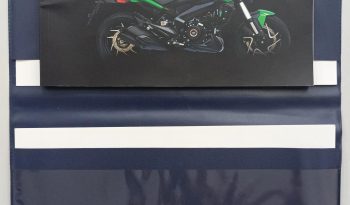BAJAJ DOMINAR 400 ABS 2025 cheio