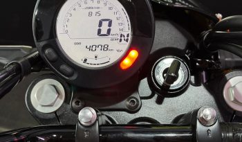 KAWASAKI ELIMINATOR 500 SE 2025 cheio