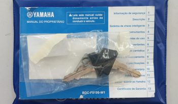 YAMAHA XMAX 250 ABS 2021 cheio