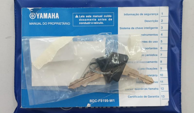 YAMAHA XMAX 250 ABS 2021 cheio