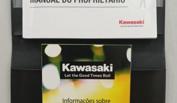 KAWASAKI NINJA ZX-4R 2025 cheio