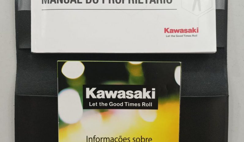 KAWASAKI NINJA ZX-4R 2025 cheio