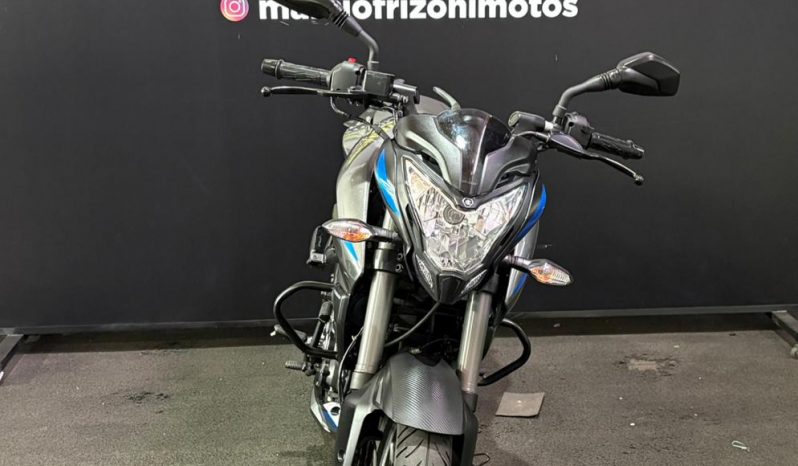 BAJAJ DOMINAR 160 ABS 2025 cheio