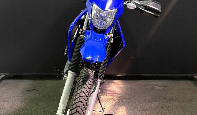YAMAHA XTZ-250 LANDER BLUEFLEX 2019 cheio