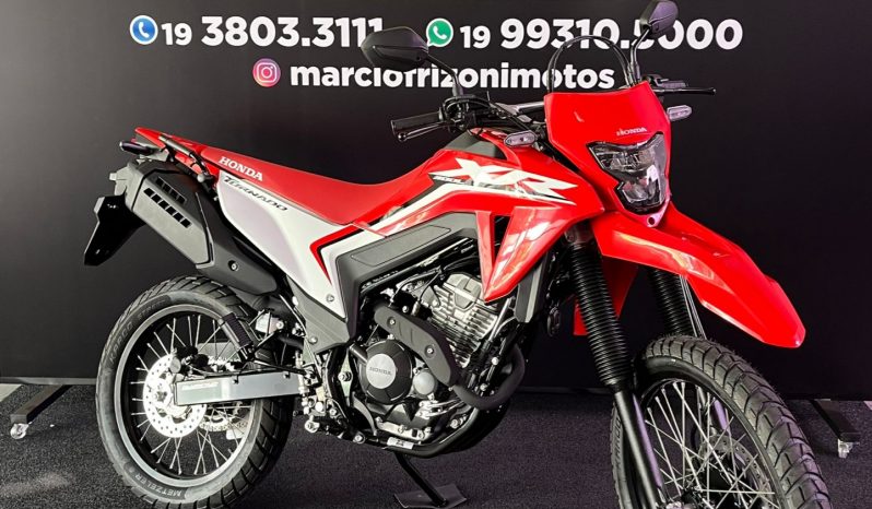HONDA XR-300L TORNADO 2025 cheio