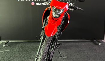 HONDA XR-300L TORNADO 2025 cheio