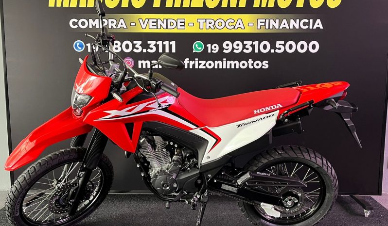 HONDA XR-300L TORNADO 2025 cheio