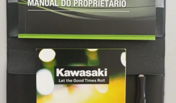 KAWASAKI ELIMINATOR 500 SE 2025 cheio