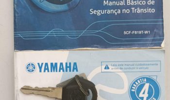YAMAHA FZ-25 FAZER BLUEFLEX ABS 2019 cheio