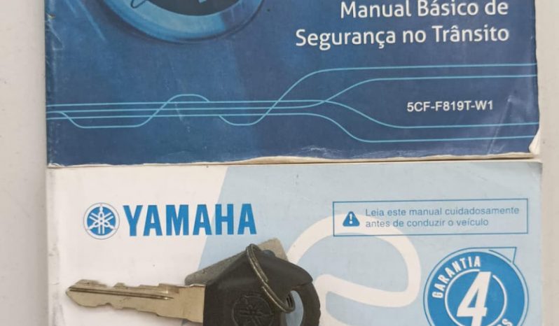 YAMAHA FZ-25 FAZER BLUEFLEX ABS 2019 cheio