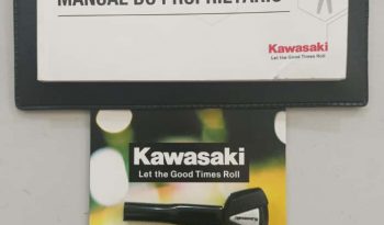 KAWASAKI NINJA ZX-4RR ABS 2026 cheio