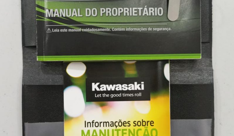 KAWASAKI VERSYS-X 300 TOURER ABS 2022 cheio