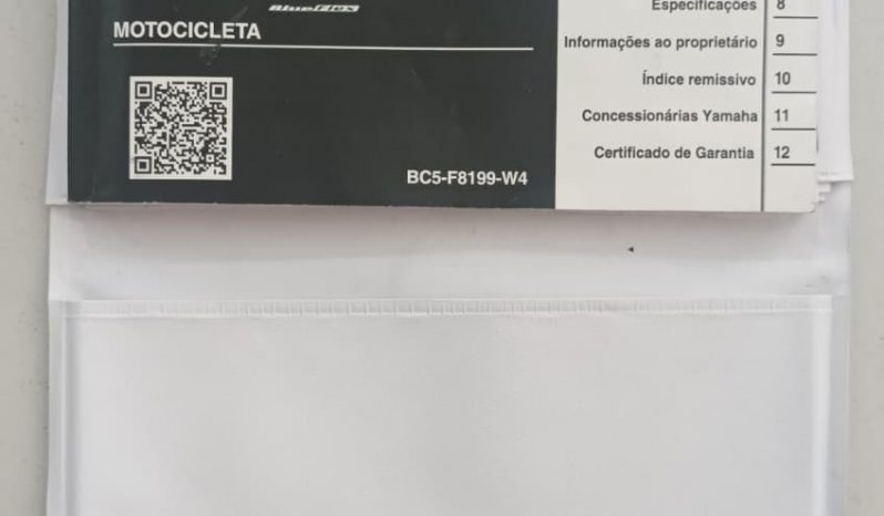 YAMAHA FZ-25 FAZER BLUEFLEX ABS 2024 cheio
