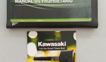 KAWASAKI VERSYS-X 300 TOURER ABS 2024 cheio