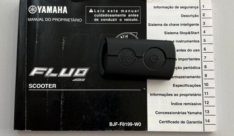 YAMAHA FLUO-125 2024 cheio
