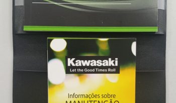 KAWASAKI ELIMINATOR 500 SE ABS 2025 cheio