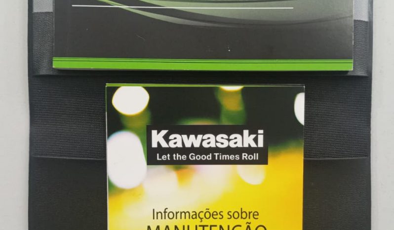 KAWASAKI ELIMINATOR 500 SE ABS 2025 cheio