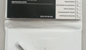 YAMAHA FZ-25 FAZER CONNECTED 2025 cheio