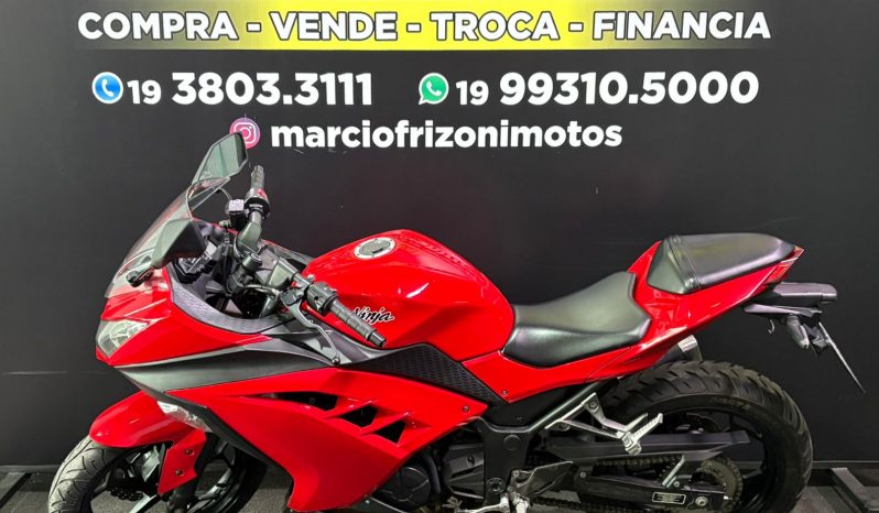 KAWASAKI NINJA-300 2014 cheio