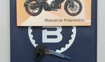 BAJAJ DOMINAR 200 ABS 2025 cheio
