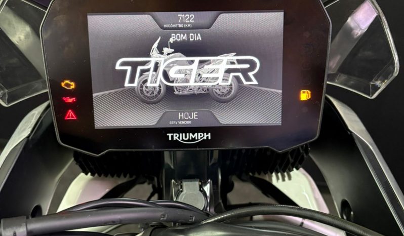 TRIUMPH TIGER 900 RALLY PRO 2023 cheio
