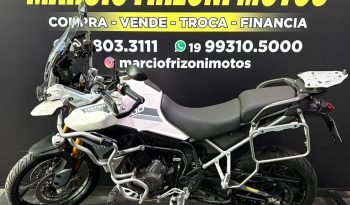 TRIUMPH TIGER 900 RALLY PRO 2023 cheio