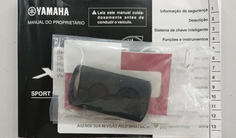 YAMAHA XMAX-250 ABS 2024 cheio