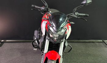 BAJAJ DOMINAR 250 ABS 2025 cheio