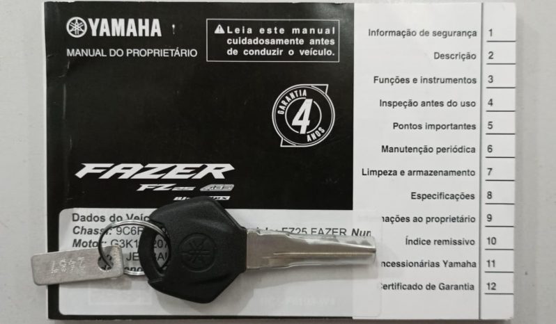 YAMAHA FZ-25 FAZER BLUEFLEX ABS 2024 cheio