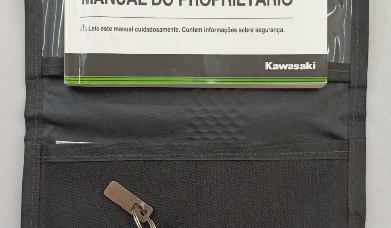 KAWASAKI VERSYS-650 ABS 2018 cheio