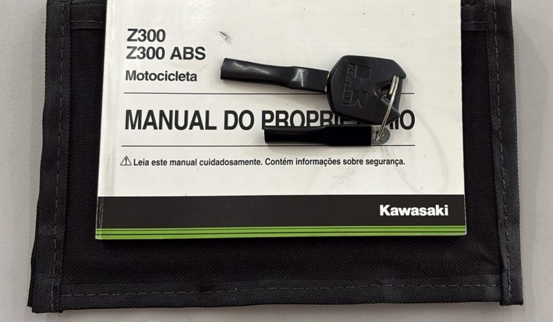 KAWASAKI Z-300 ABS 2018 cheio