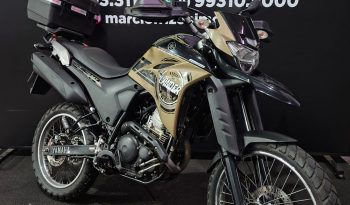 YAMAHA XTZ-250 LANDER BLUEFLEX ABS 2022 cheio