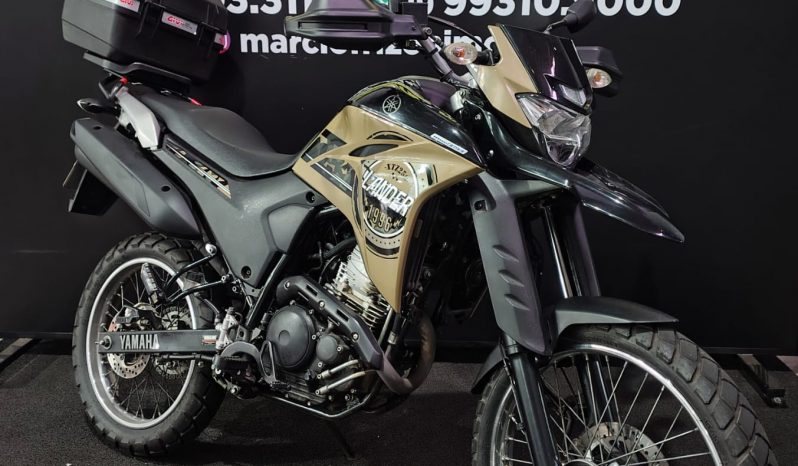 YAMAHA XTZ-250 LANDER BLUEFLEX ABS 2022 cheio
