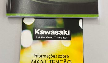 KAWASAKI NINJA 300 ABS 2024 cheio
