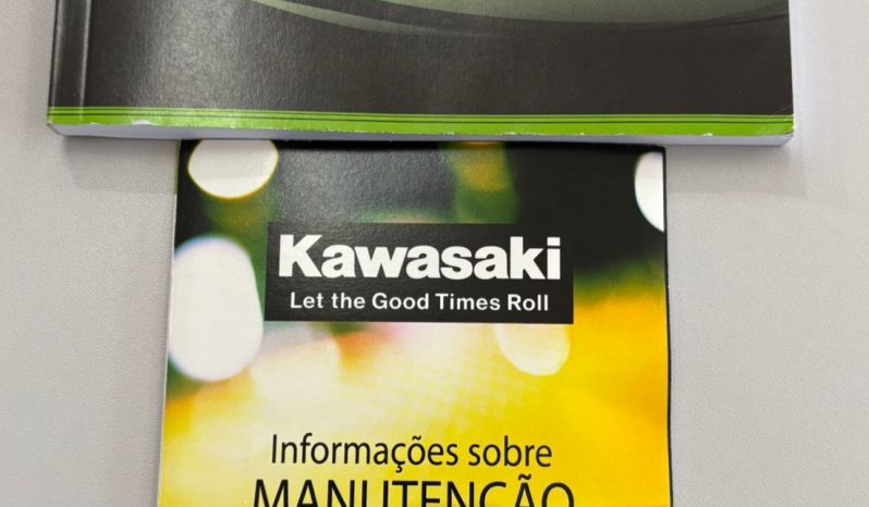 KAWASAKI NINJA 300 ABS 2024 cheio