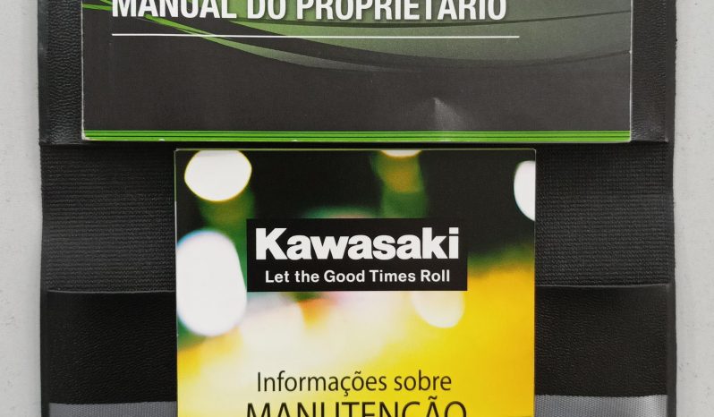 KAWASAKI VERSYS-X 300 TOURER ABS 2024 cheio