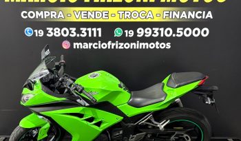 KAWASAKI NINJA-300 2015 cheio