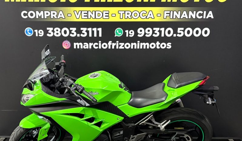 KAWASAKI NINJA-300 2015 cheio