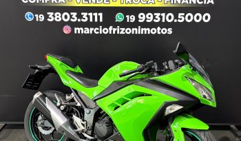 KAWASAKI NINJA-300 2015 cheio