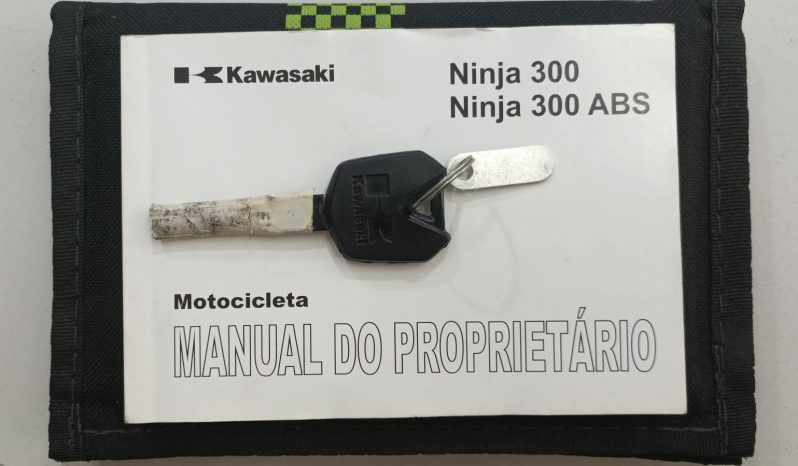 KAWASAKI NINJA-300 2015 cheio