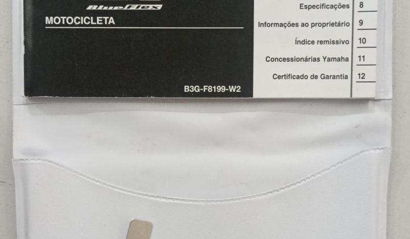 YAMAHA XTZ-250 LANDER BLUEFLEX 2024 cheio