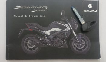 BAJAJ DOMINAR 250 ABS 2025 cheio