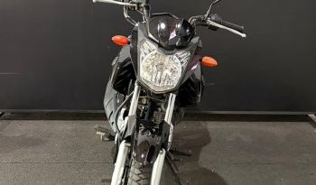 YAMAHA YS-150 FAZER ED 2015 cheio